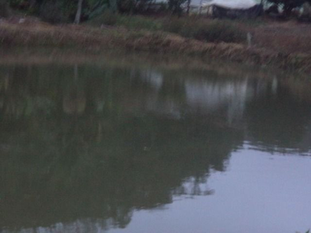 Santa maria de jequitiba - Foto 2