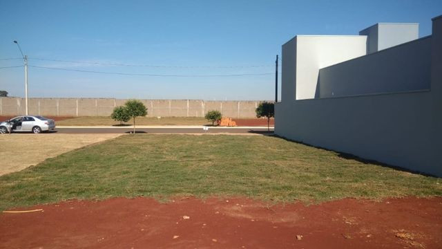 Terreno