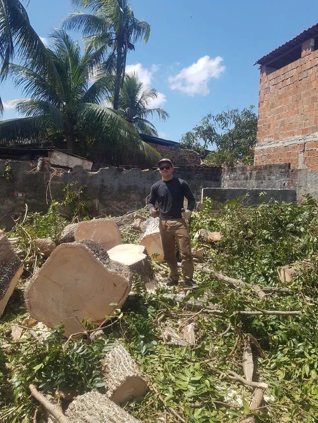 Poda de árvores * - Foto 5