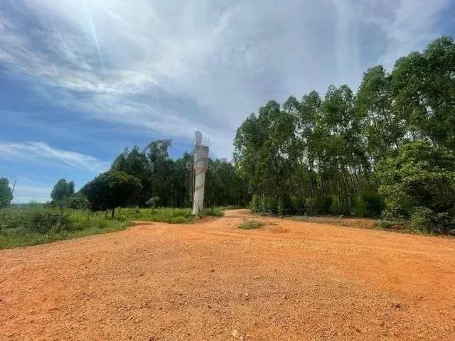 Fazenda à Venda, 714 hectares, Sete Lagoas - MG - Foto 2