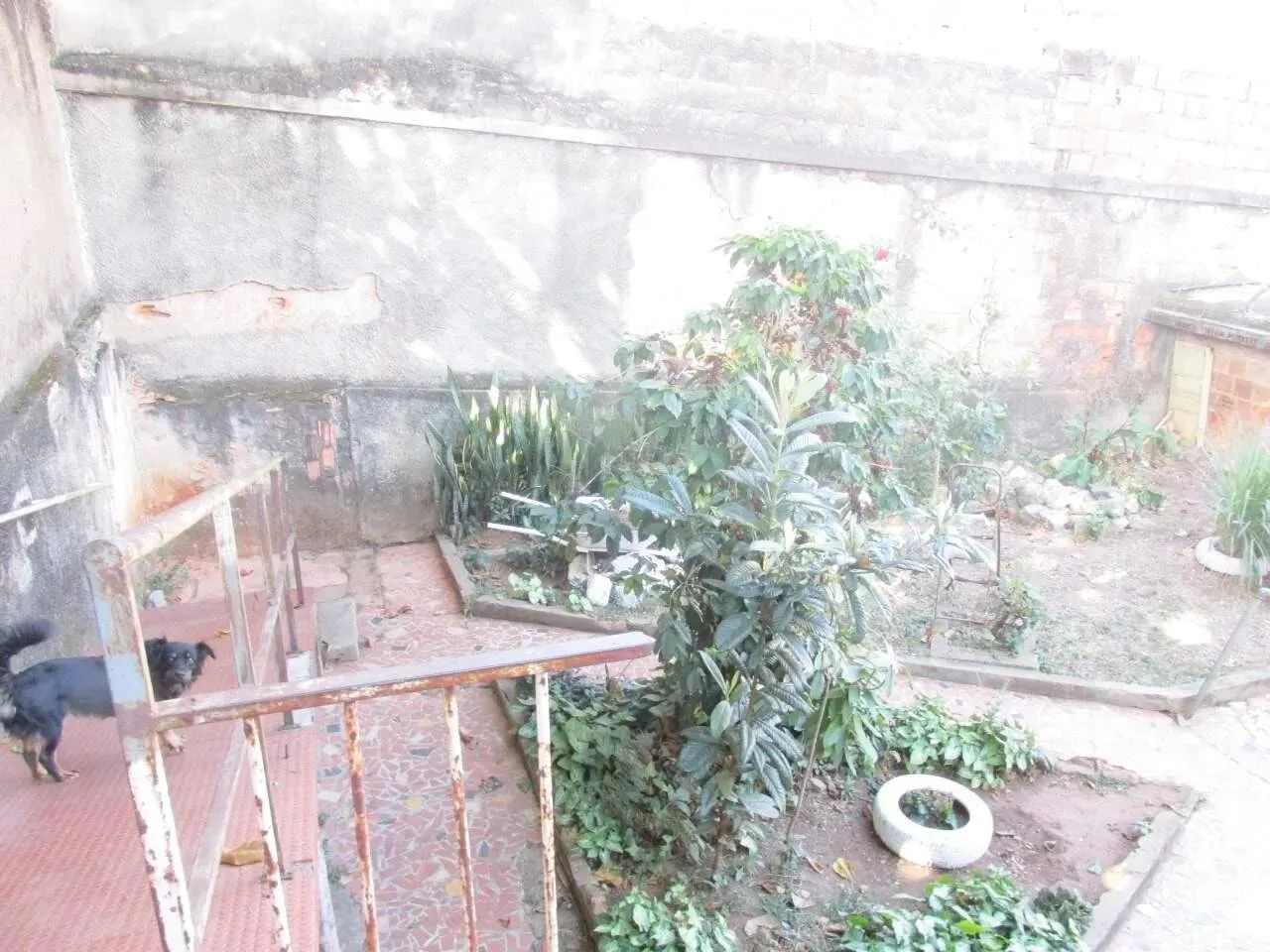 Lote - Terreno à venda, Sagrada Família - Belo Horizonte/MG - Foto 10