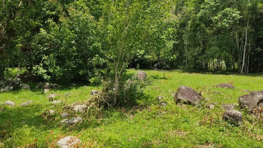 Lindo terreno de 3.000m² estrema com ribeirão de águas cristalinas! - Foto 3
