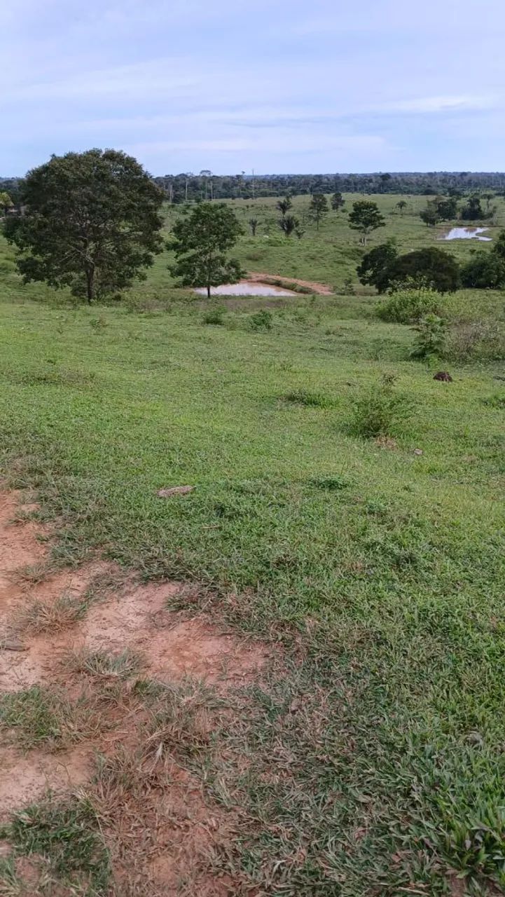 Colônia  - Foto 3