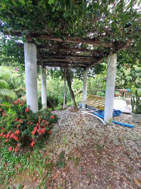 Sítio com 30 mil m² * Ótima localização  - Foto 4