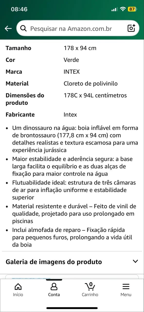 Bóia Inflável Dinossauro