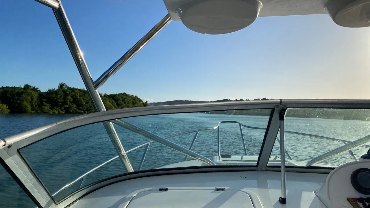 Wellcraft WA 260 - Foto 10