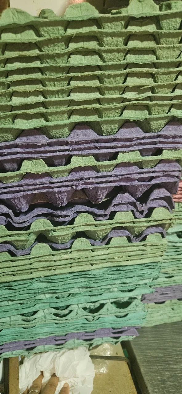 Caixa de Ovos de Papelão - Diversas Cores
