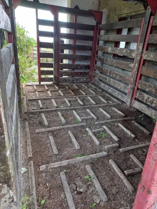 Balança bovina - Foto 5