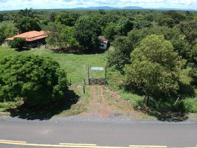 147 Hectares Fazenda - GO 114, Flores de Goias - GO Brasil - Foto 4