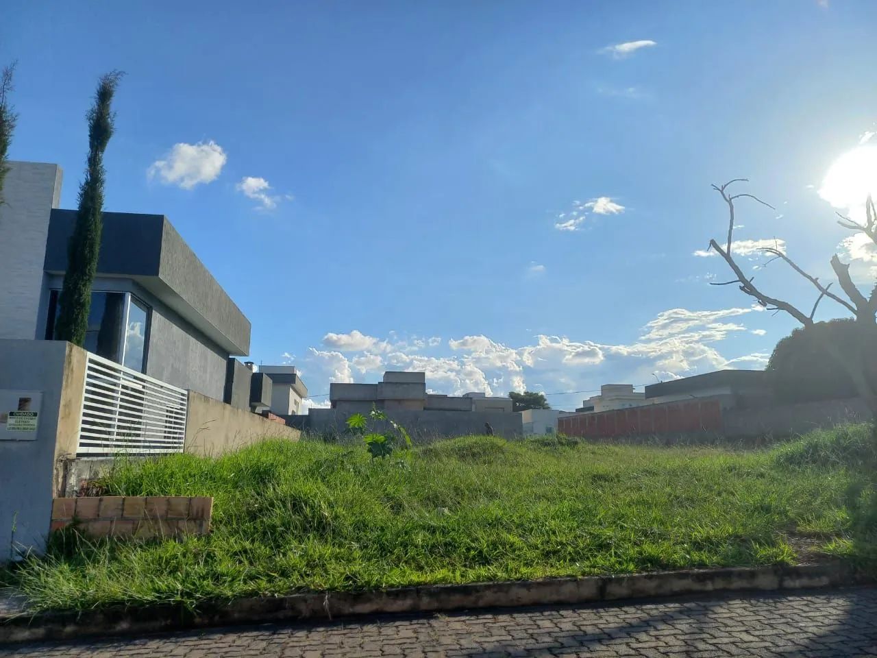 Oportunidade Rara - Foto 3