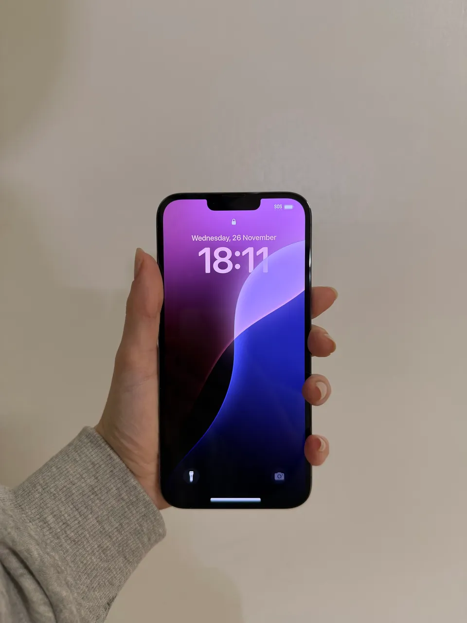 Celulares APPLE IPHONE 13 PRO MAX Usados, seminovos e Novos no Brasil