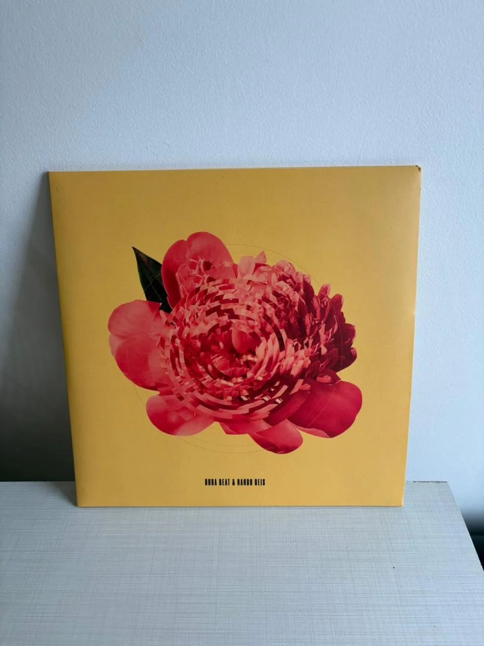 Vinil Duda Beat e Nando Reis-Raridade - Foto 4