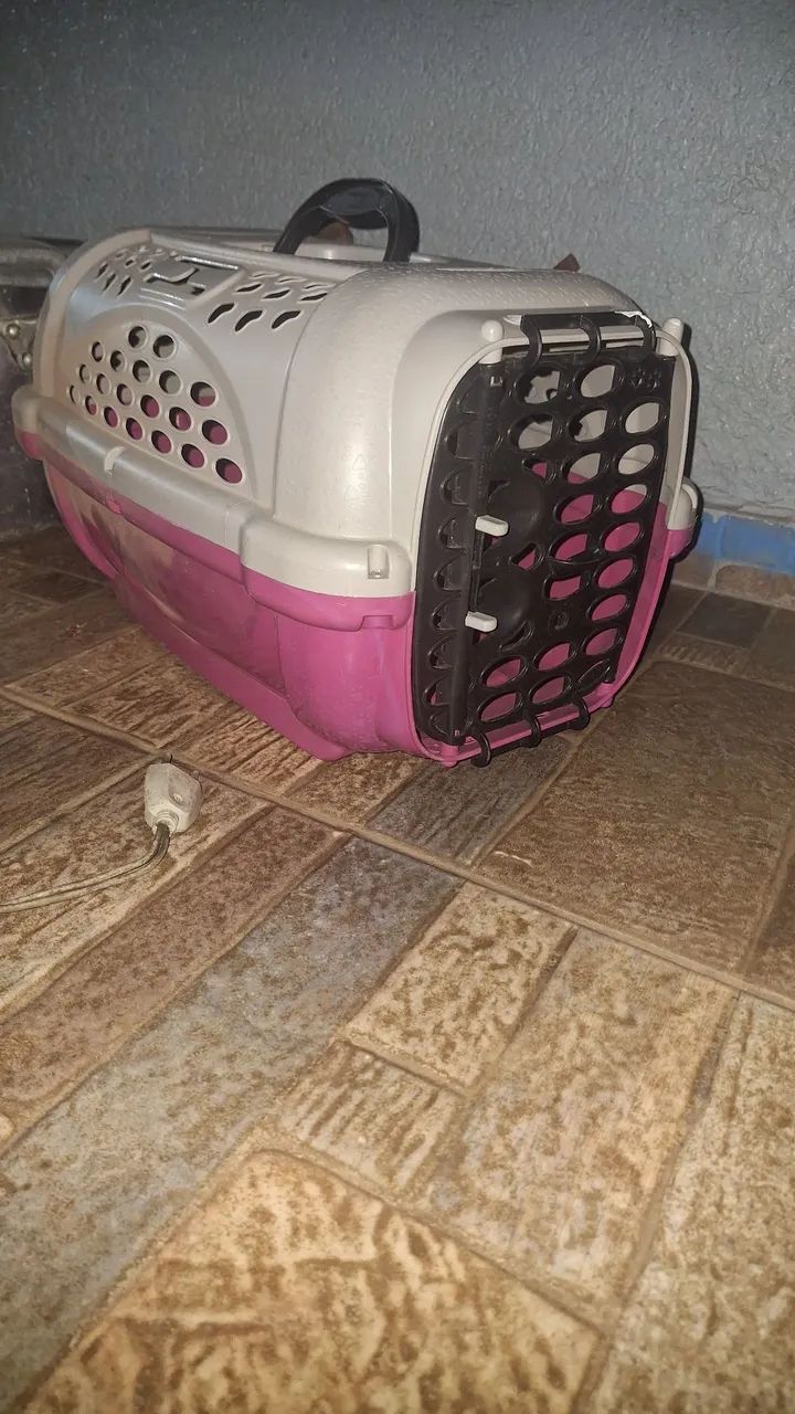 Caixa transportadora  - Foto 2