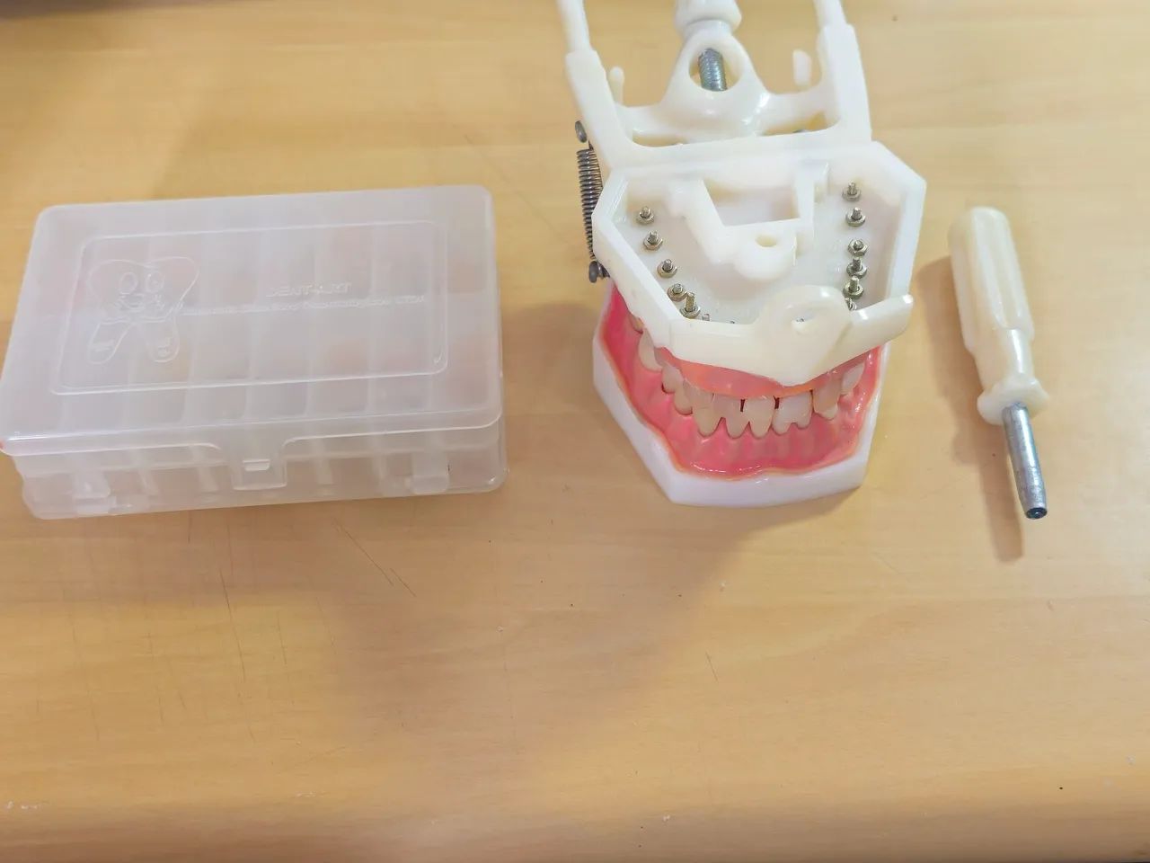 Manequim DENTÍSTICA e PRÓTESE - Foto 5