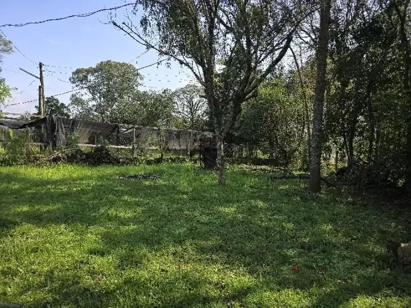 [569]CHÁCARA EM TAQUARA 5,7HA COM CASA, POMAR, AÇUDE, ROÇA E FIBRA ÓPTICA - Foto 5