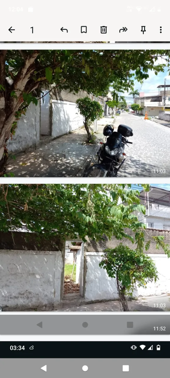 Vendo terreno nascente na melhor localização de San Martin
