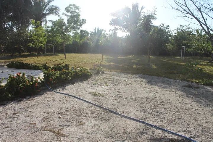 Vendo Sítio 3 hectares - Foto 4