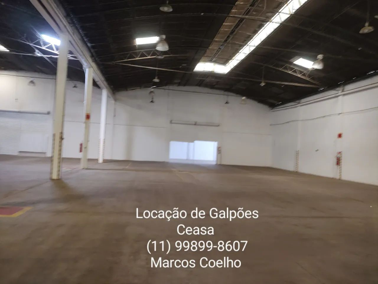 LEOPOLDINA CEASA - Foto 4