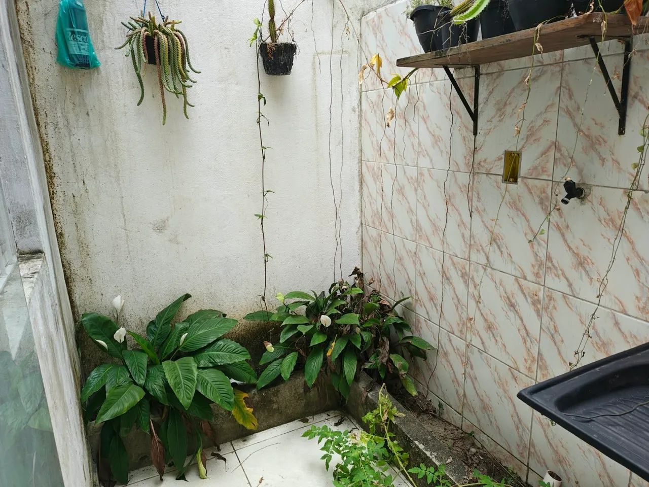 Alugo casa no Eustáquio 3/4. - Foto 2