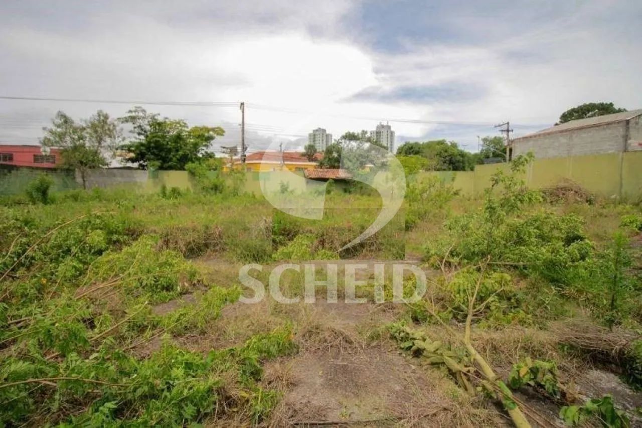 Terreno - Vila Friburgo - Foto 3