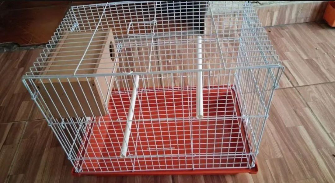 Gaiola para pássaro  - Foto 4