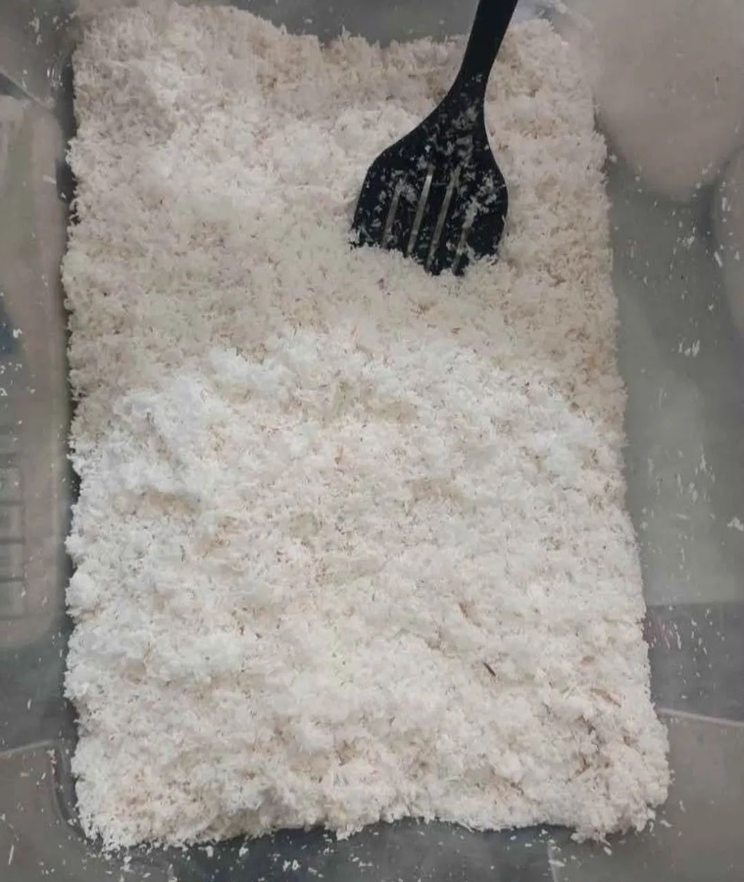 Vende-se coco seco Coco Verde e coco ralado de macaxeira ralada - Foto 2