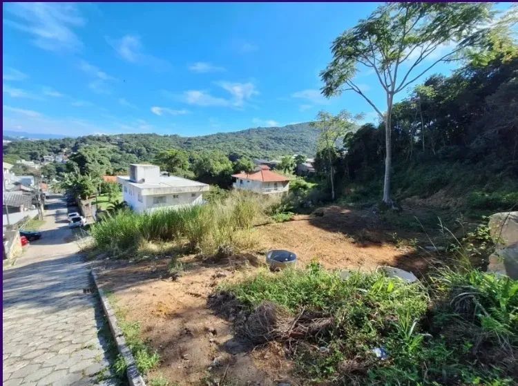 Terreno de 2300m² no Itacorubi - Foto 4
