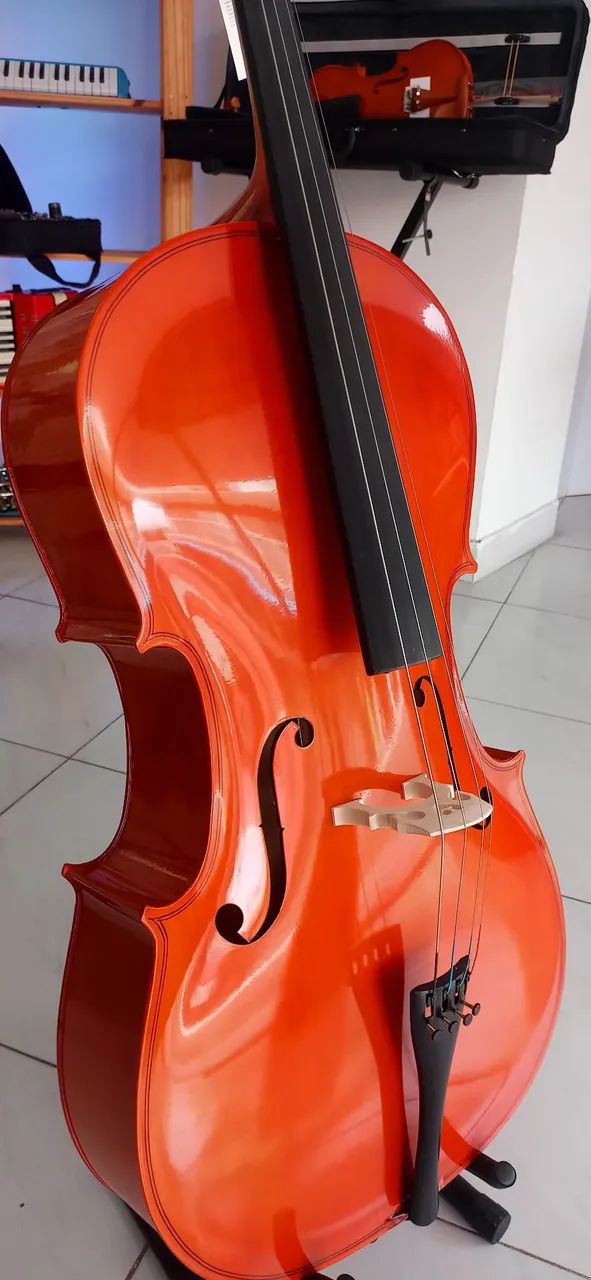 Violoncelo 4/4 Giannini - Foto 2