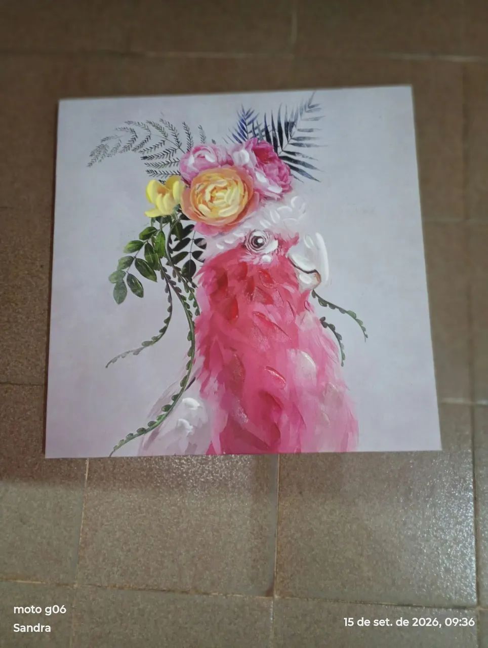 Quadros  - Foto 2