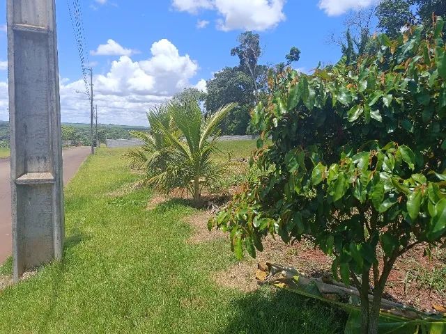 TERRENO PRÓXIMO AO RIO IVAÍ -FLORESTA PR - Foto 2