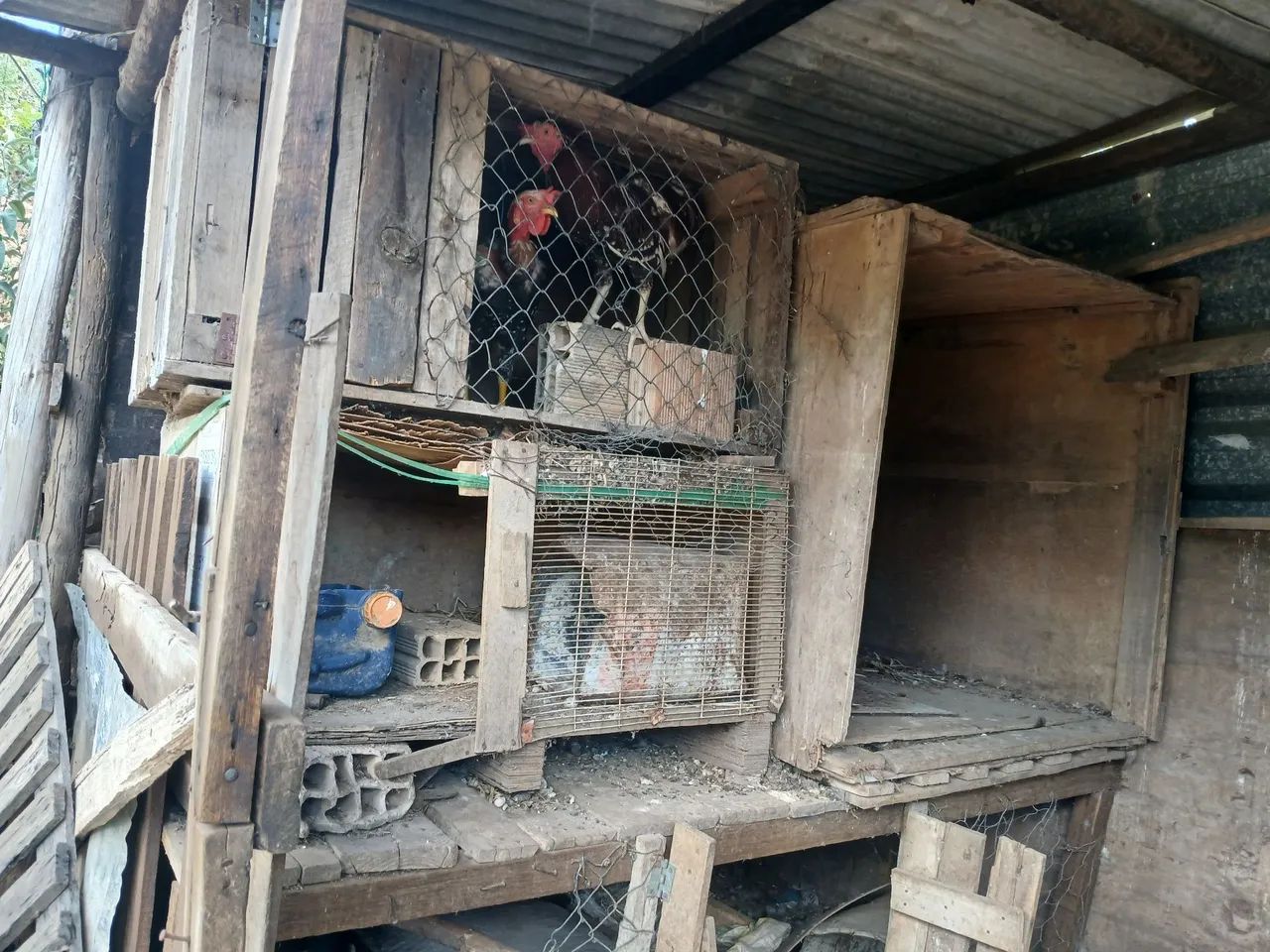 Vendo chácara  - Foto 3