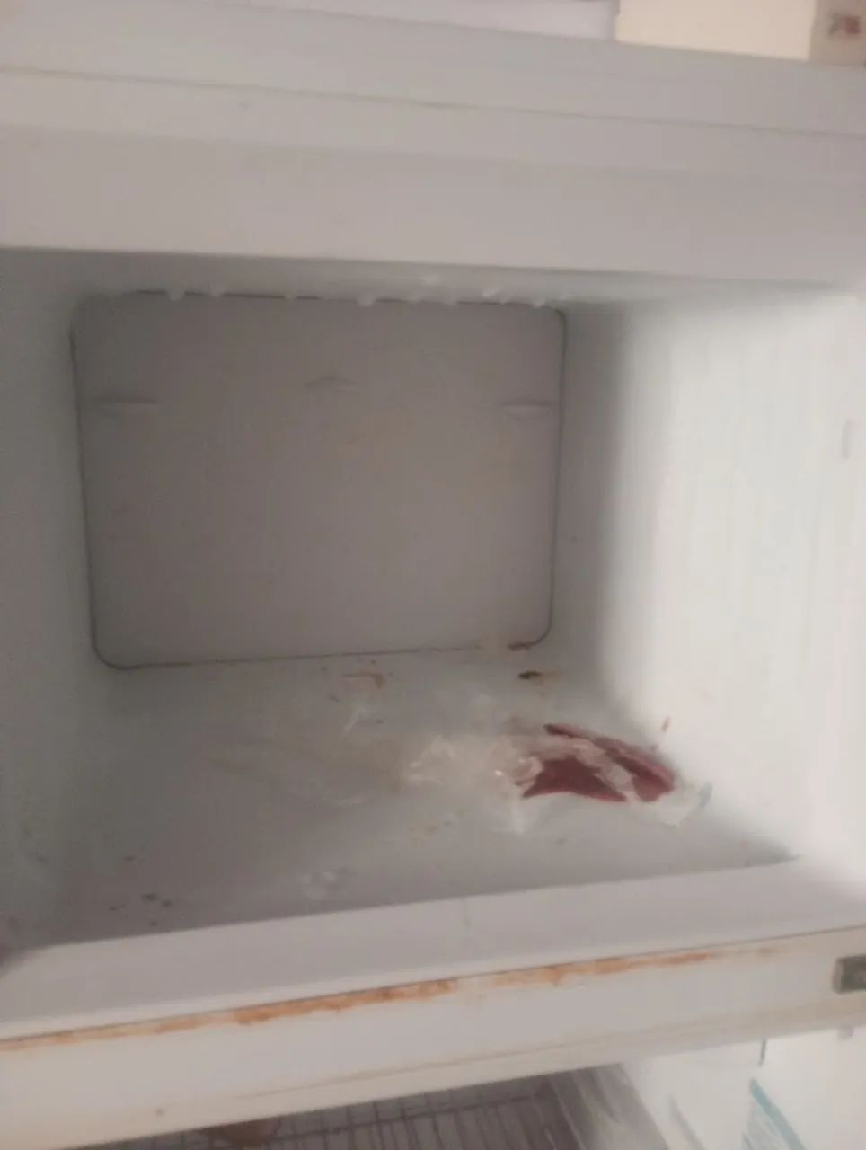 Geladeira  - Foto 2