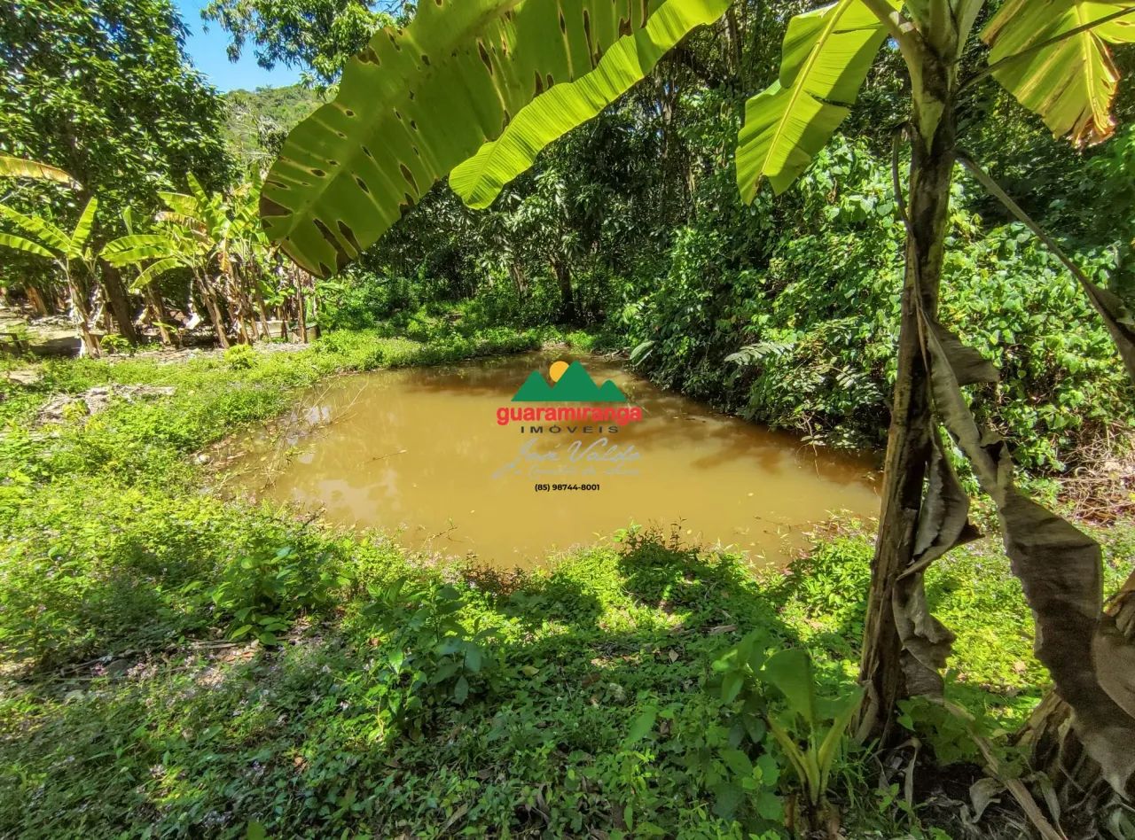 Terreno com 5.2 hectares em Pacoti com nascente, vista para as montanhas e exce