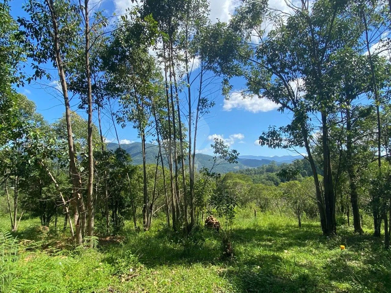 Área à venda em Garopaba com 14.061 m² - Foto 3