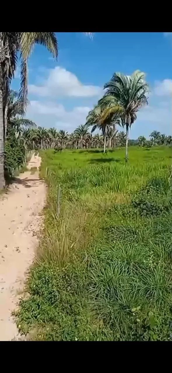 Terra venda 