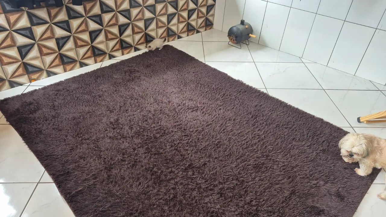 Tapete  - Foto 2