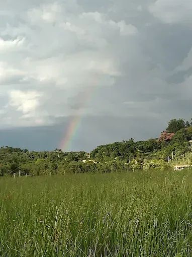 VENDO TERRENO EM JACAREÍ - Foto 3