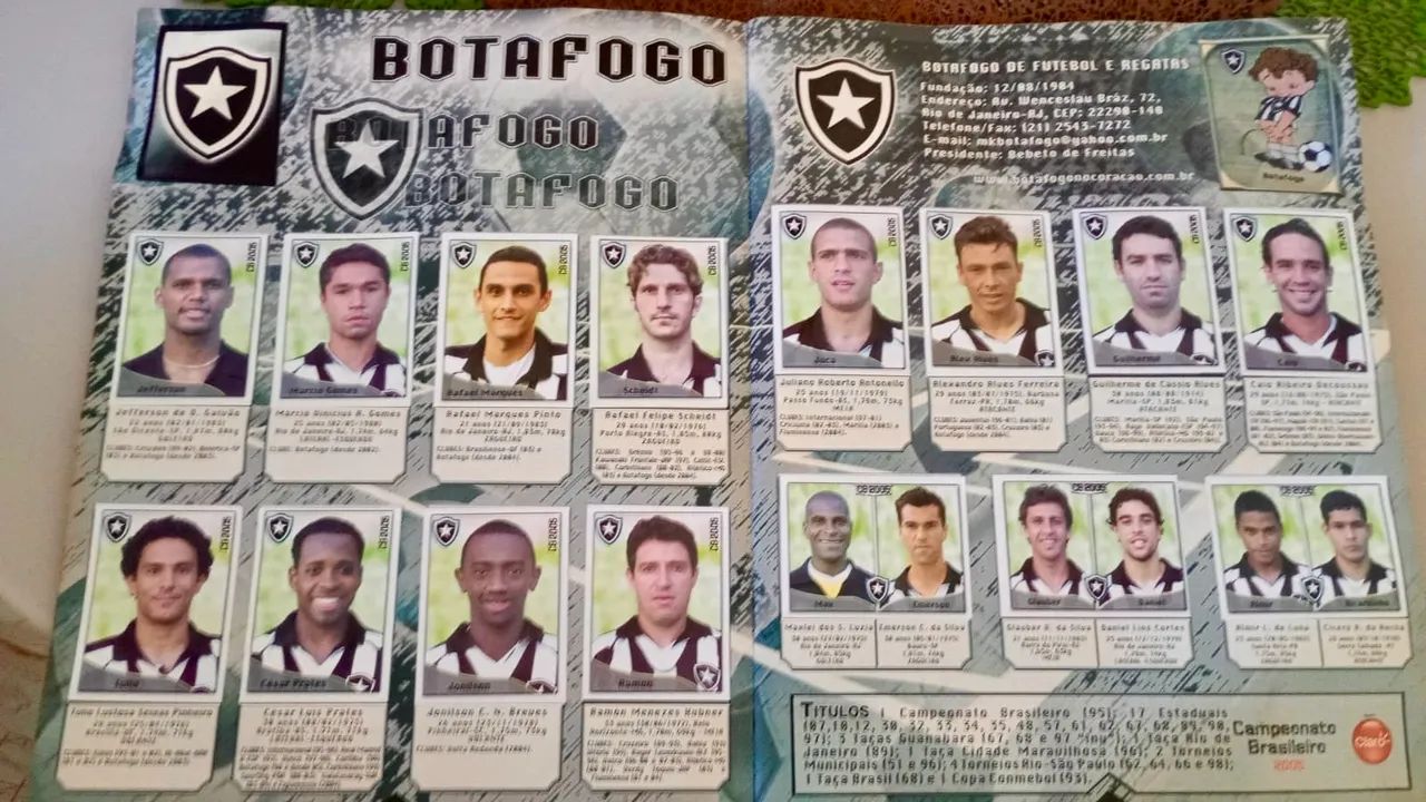 Álbum Brasileirão 2005 Completo - Panini - Foto 4
