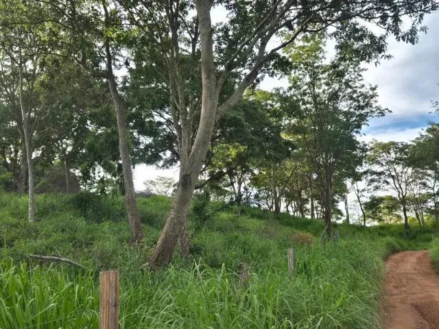 Chácara encantadora em Anápolis - Foto 4