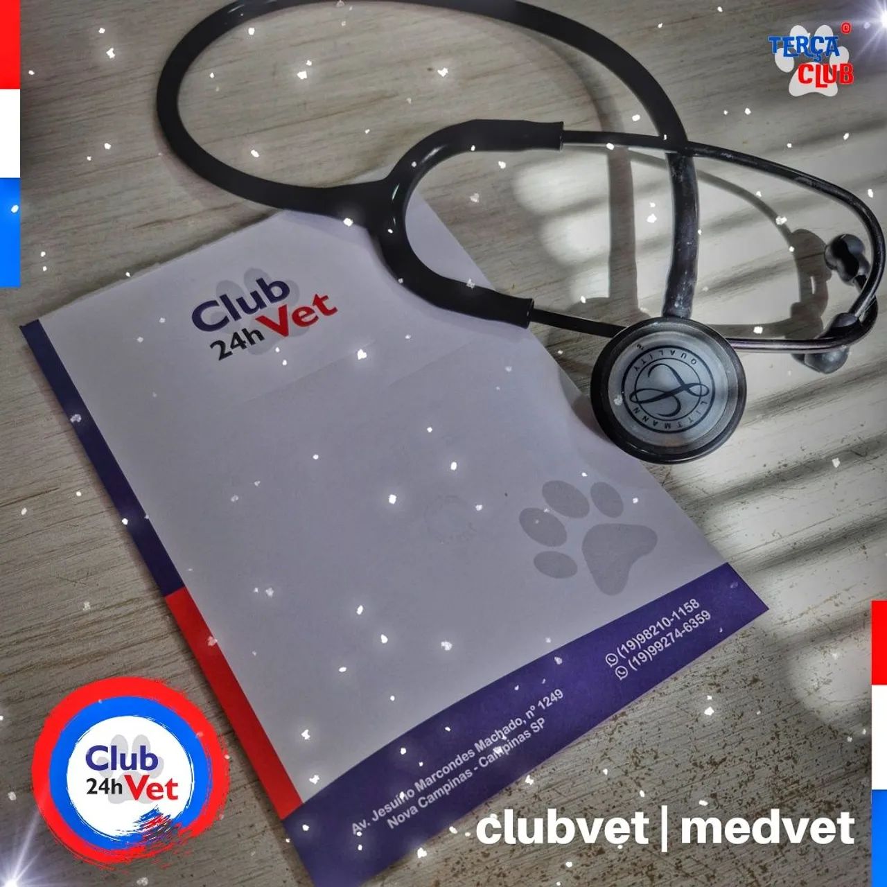 Atendimento veterinário de pequenos animais