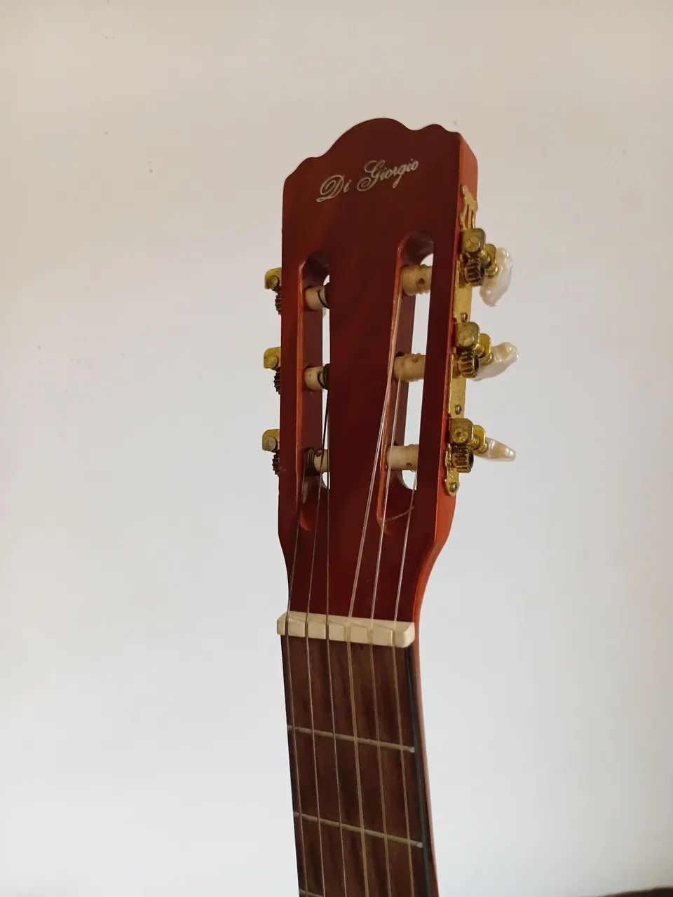 VIOLAO DI GIORGIO - Foto 4