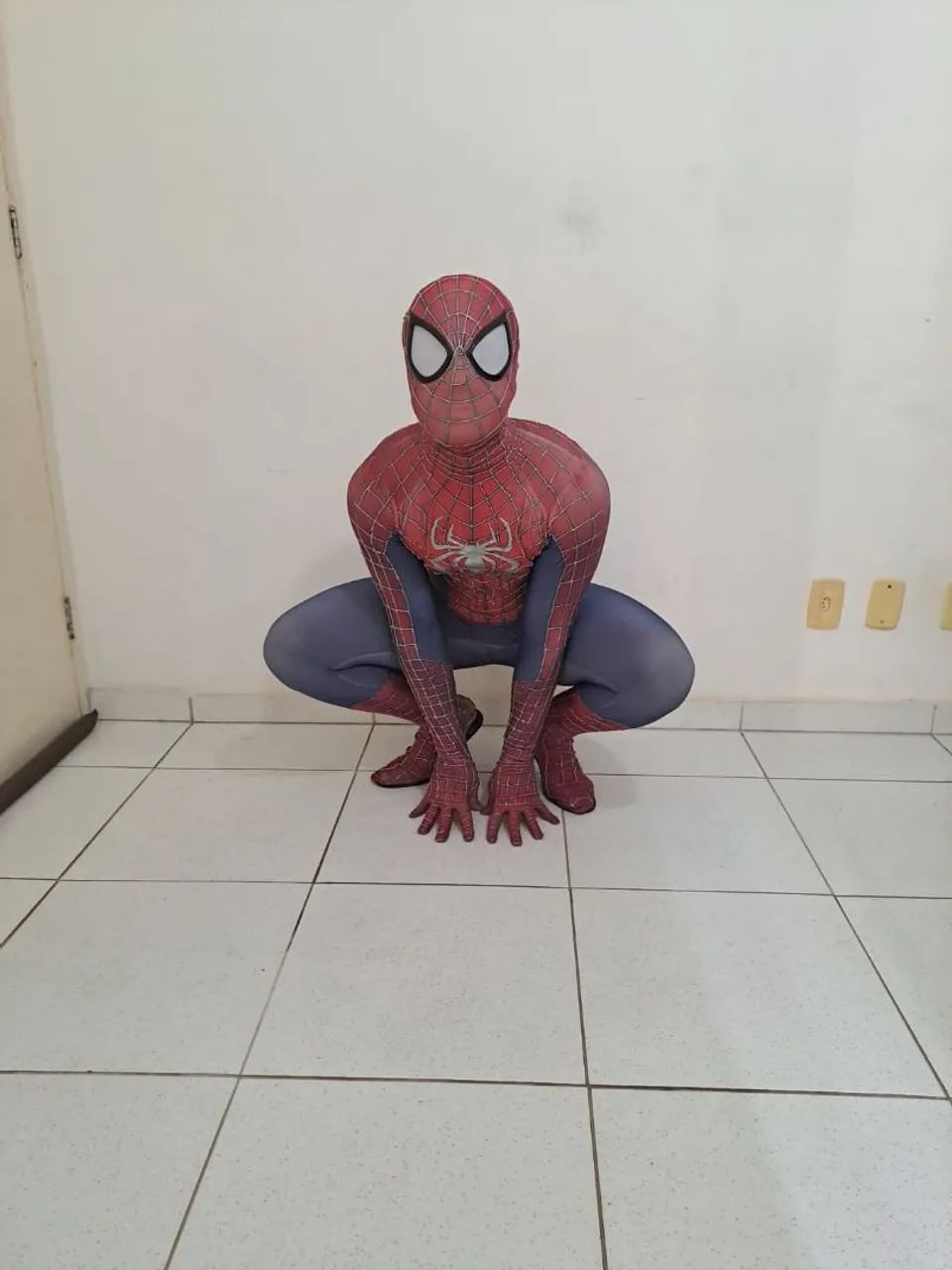 O Espetacular Homem-Aranha 2 Cosplay - Foto 4
