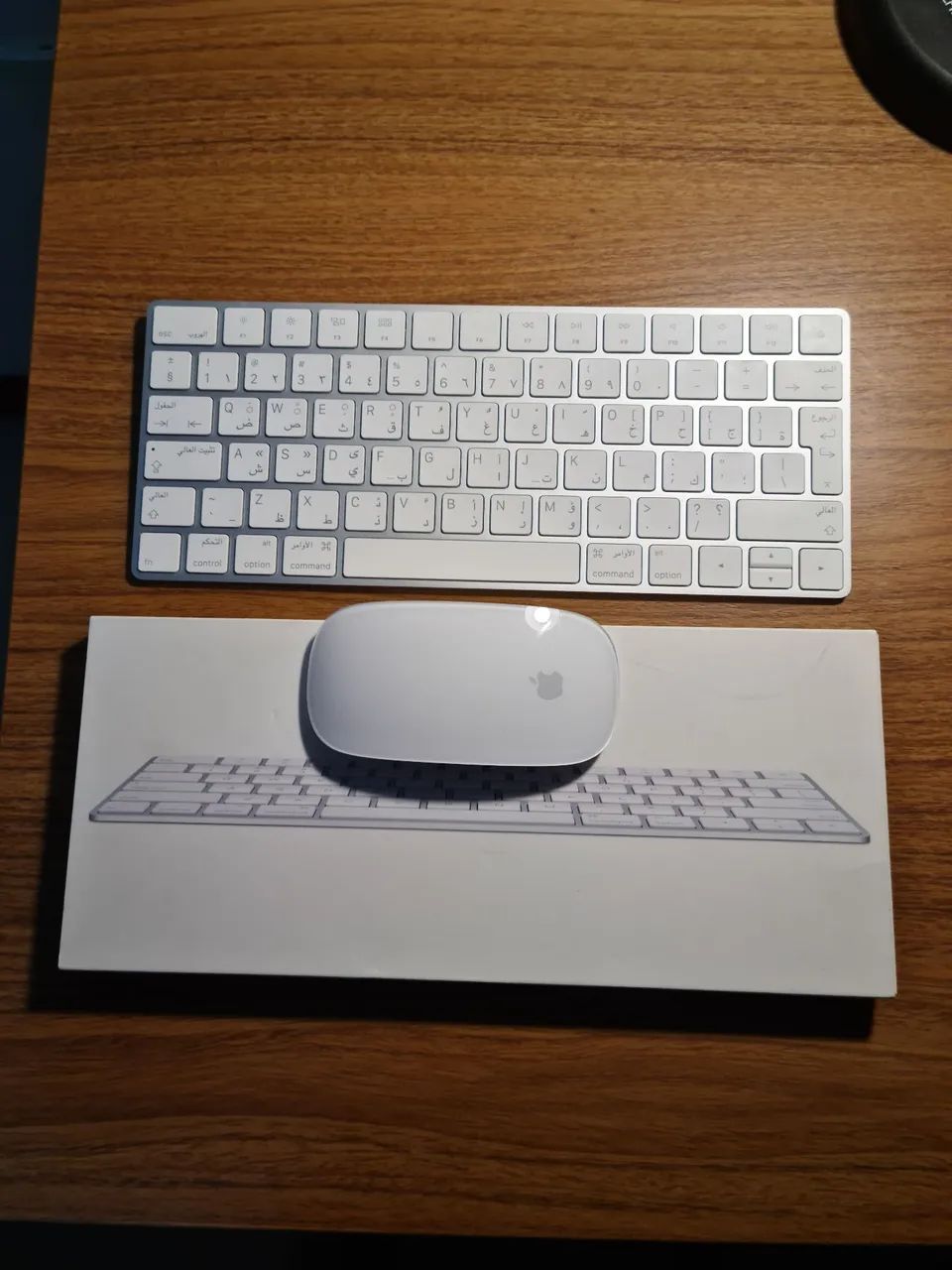 Teclado Magic Keyboard Apple e Magic Mouse