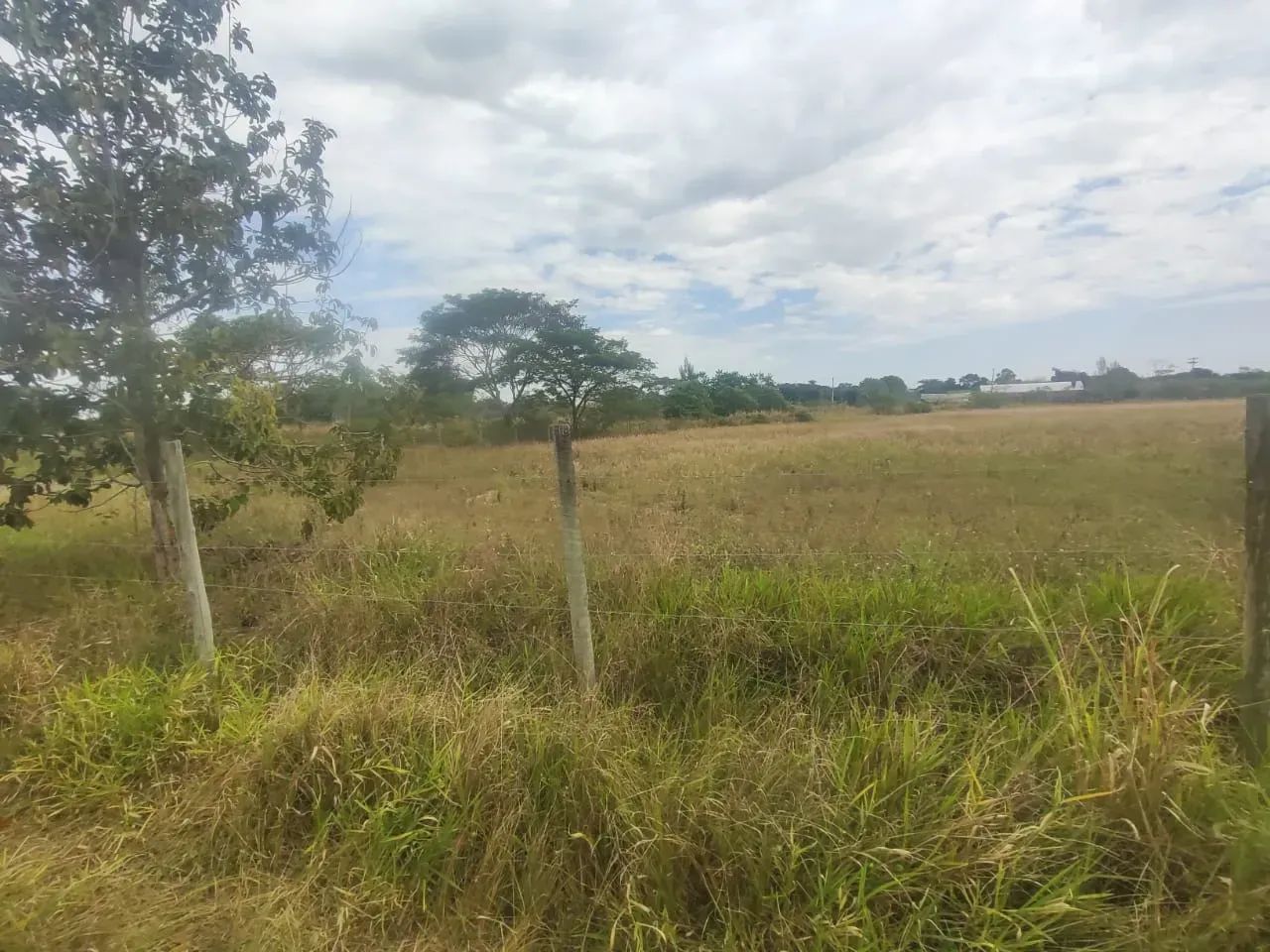 Chacara em Quissama com 5800 m2 - Foto 5