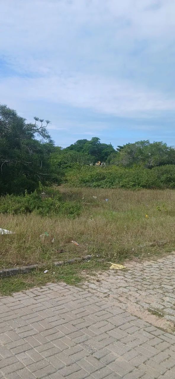Vendo terreno no xexe mais 500 m² - Foto 3