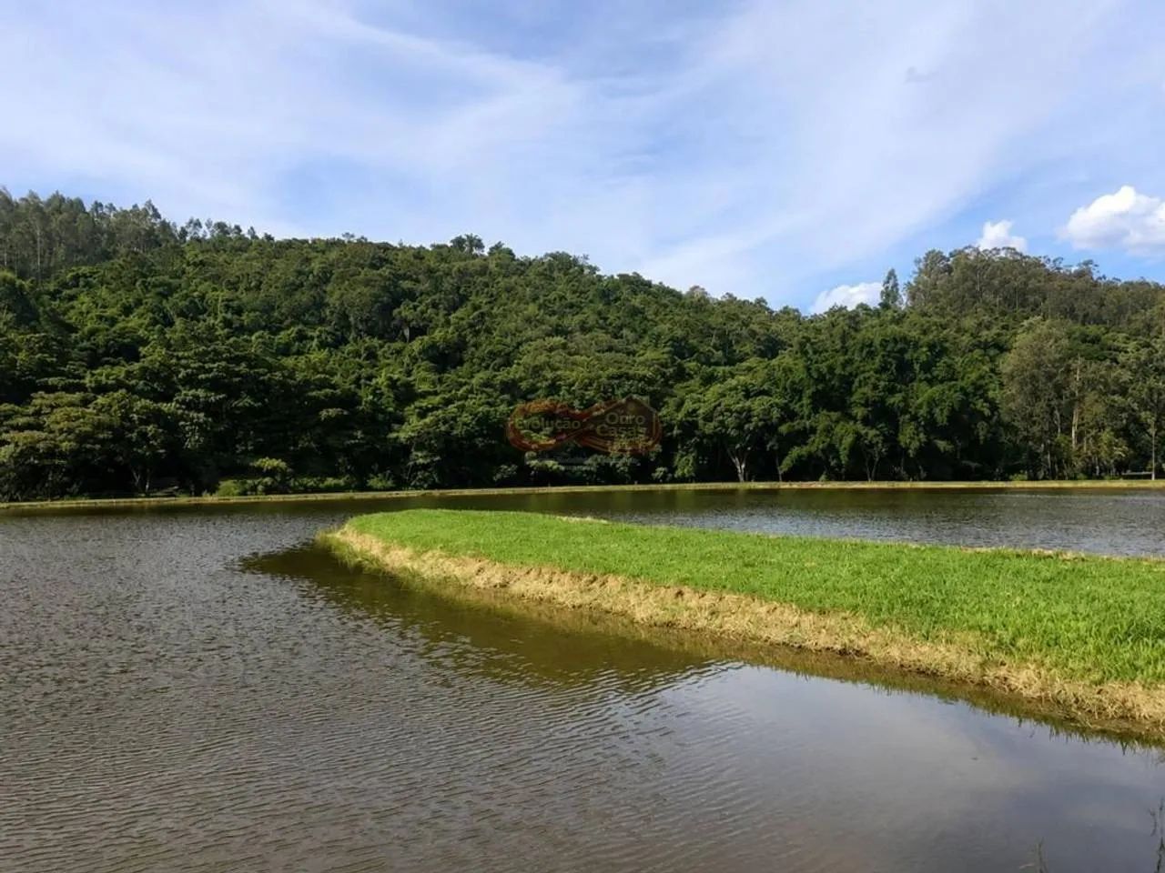 Sítio Rural / Amparo - Foto 2
