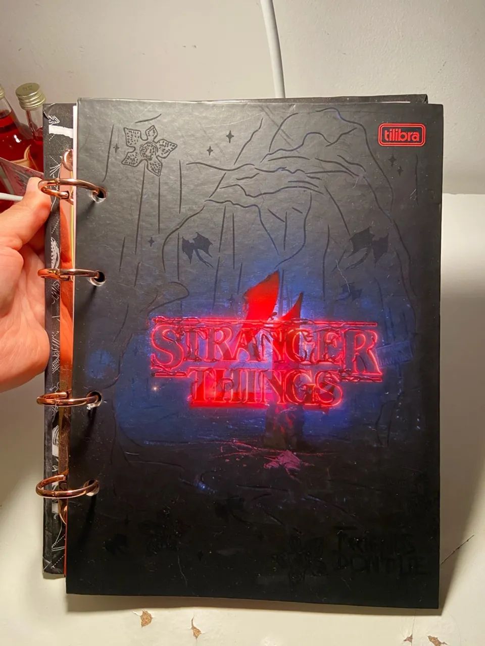 Fichário Stranger Things 