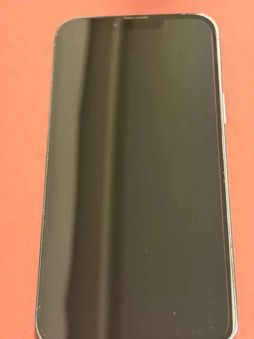 * iPhone 13 Pro Max 256GB Original - Ótimo Estado