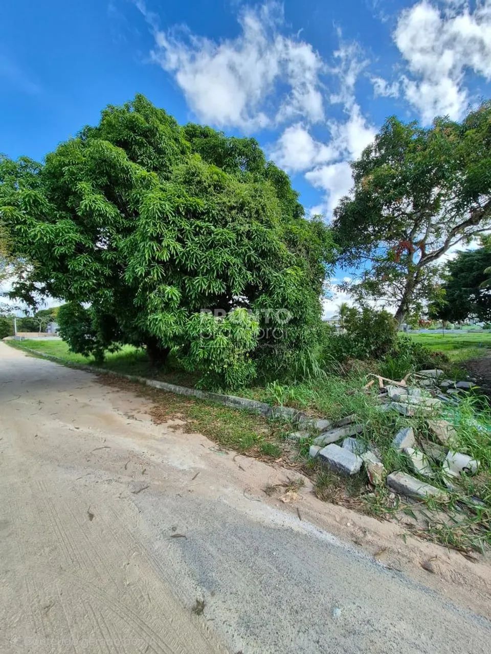 Lote/Terreno/Condomínio em Aldeia dos Camarás