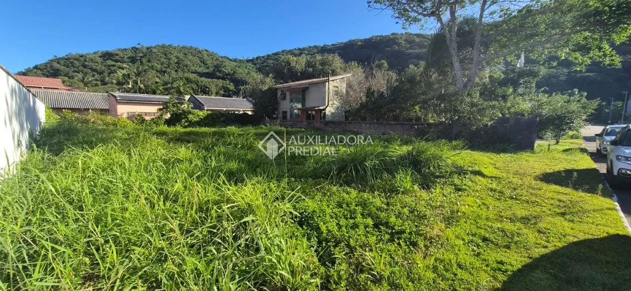 Terreno à venda em Morro das Pedras, Florianópolis - Foto 5